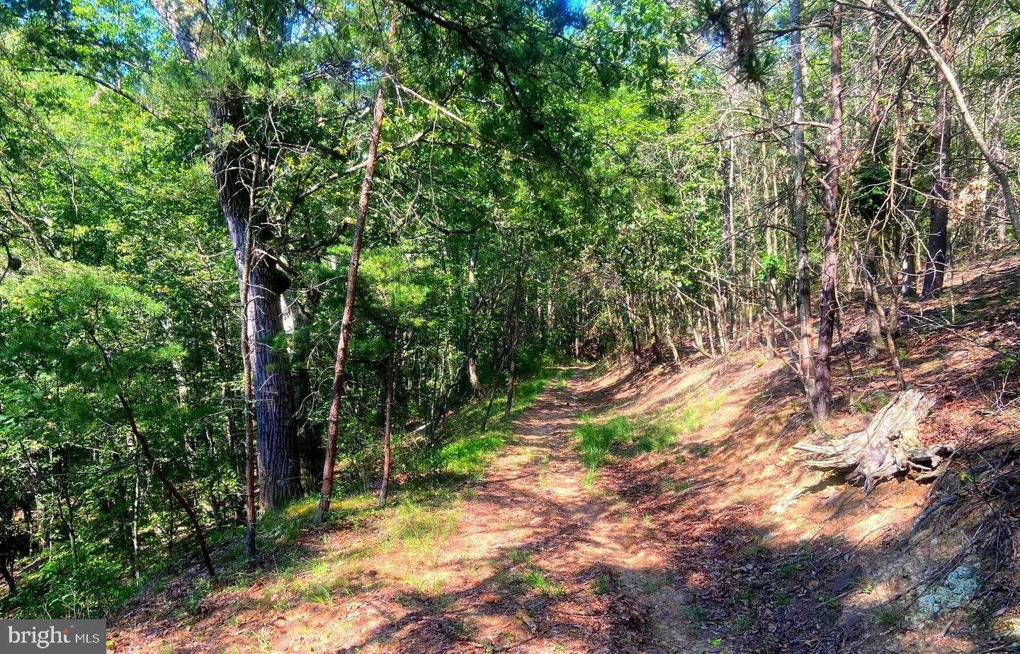 BOWLING GREEN - Residential