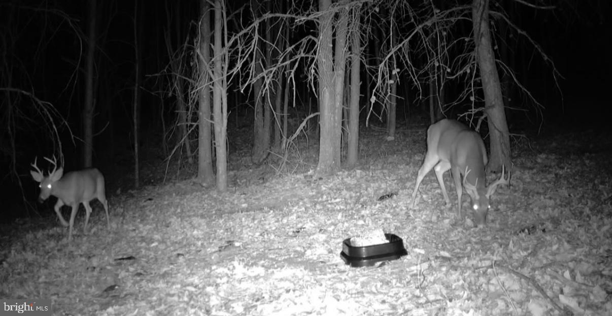 BOWLING GREEN - Residential