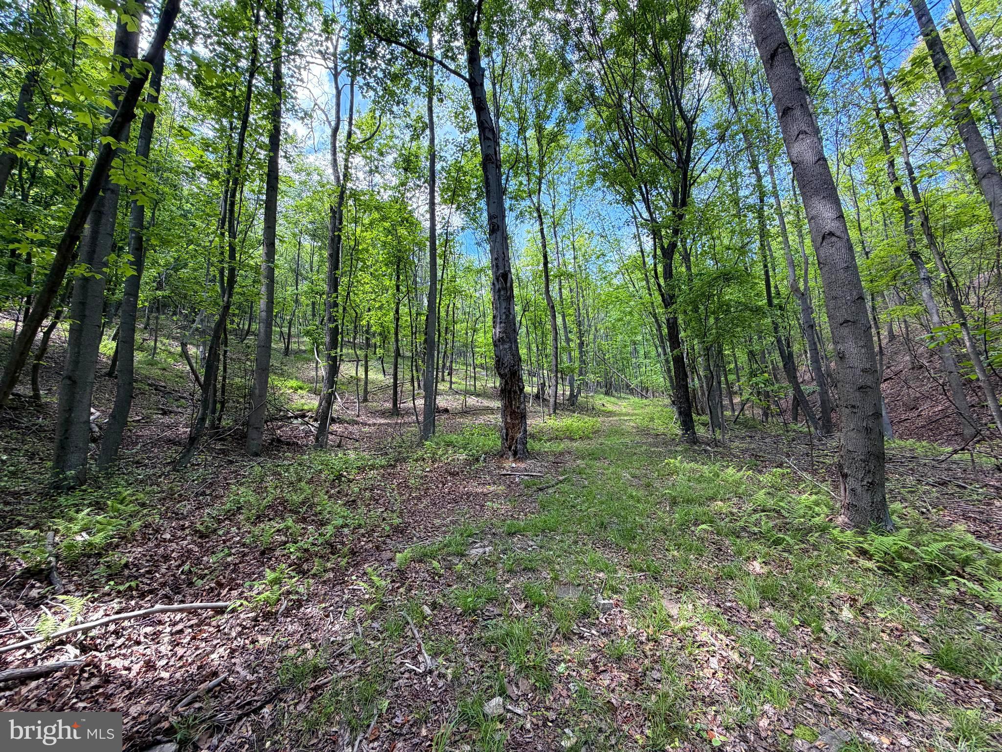 BOWLING GREEN - Residential