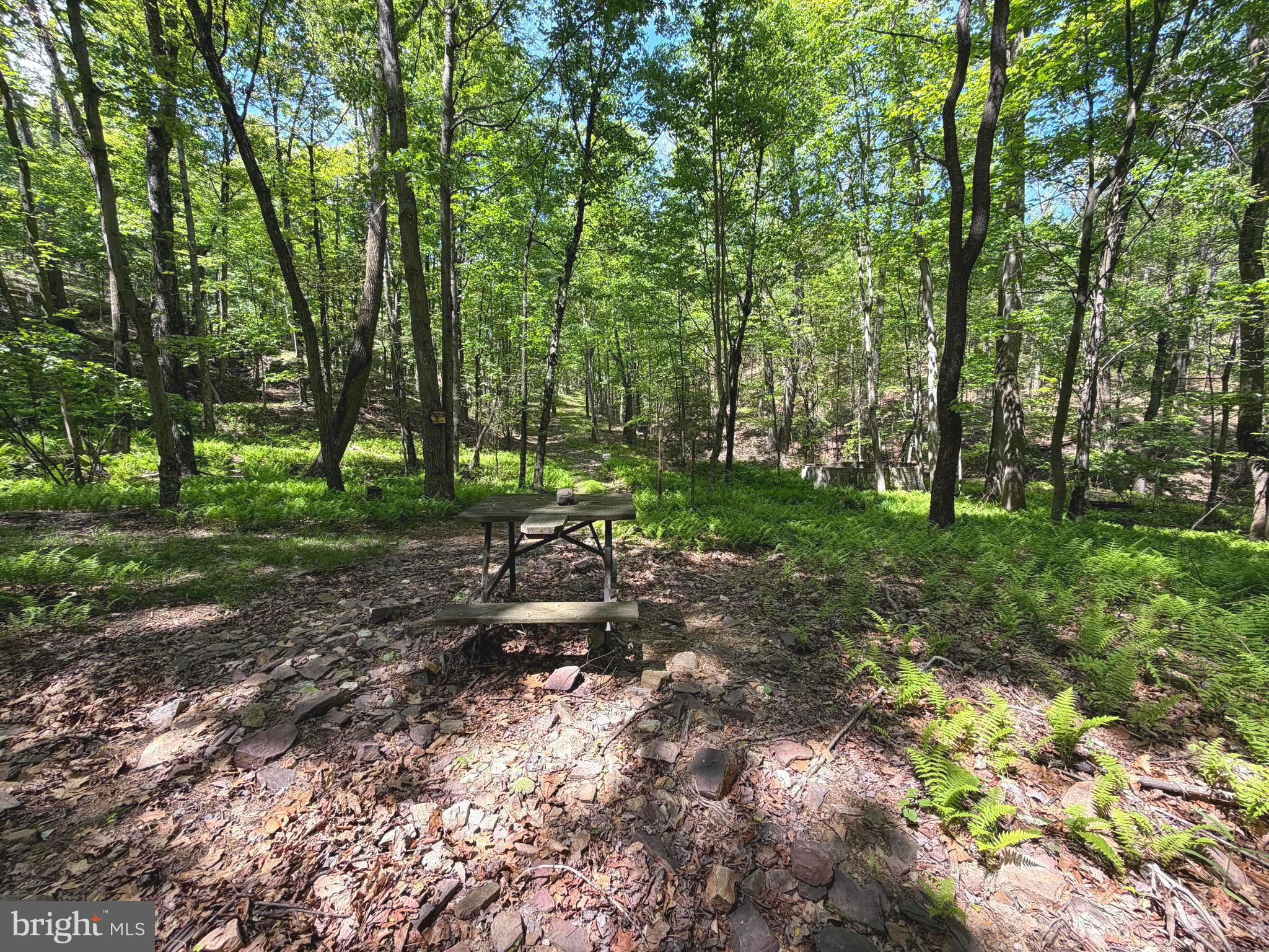 BOWLING GREEN - Residential