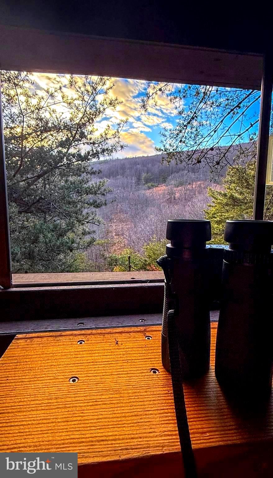 BOWLING GREEN - Residential