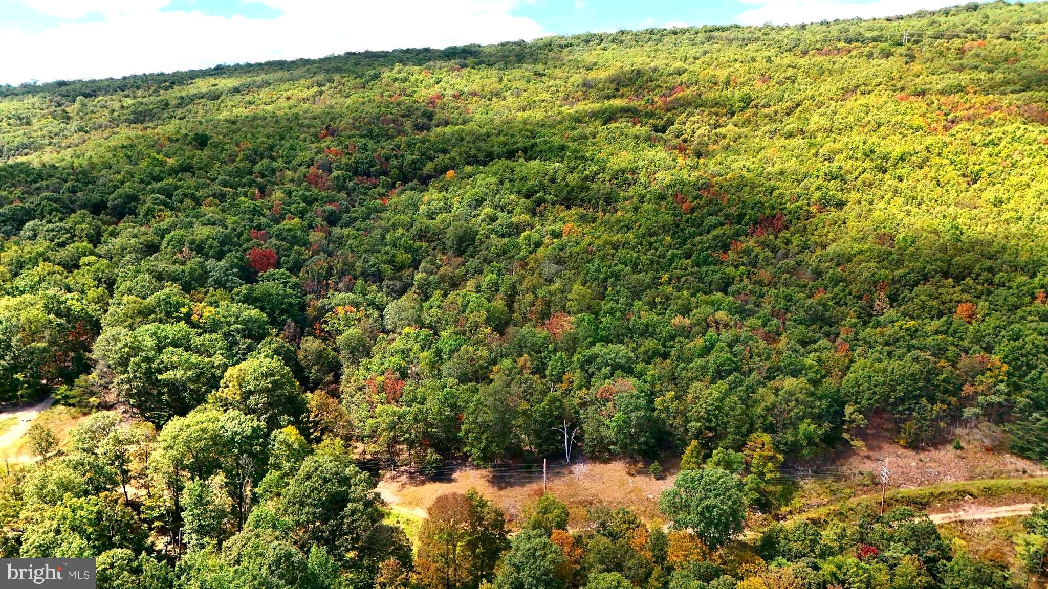 BOWLING GREEN - Residential