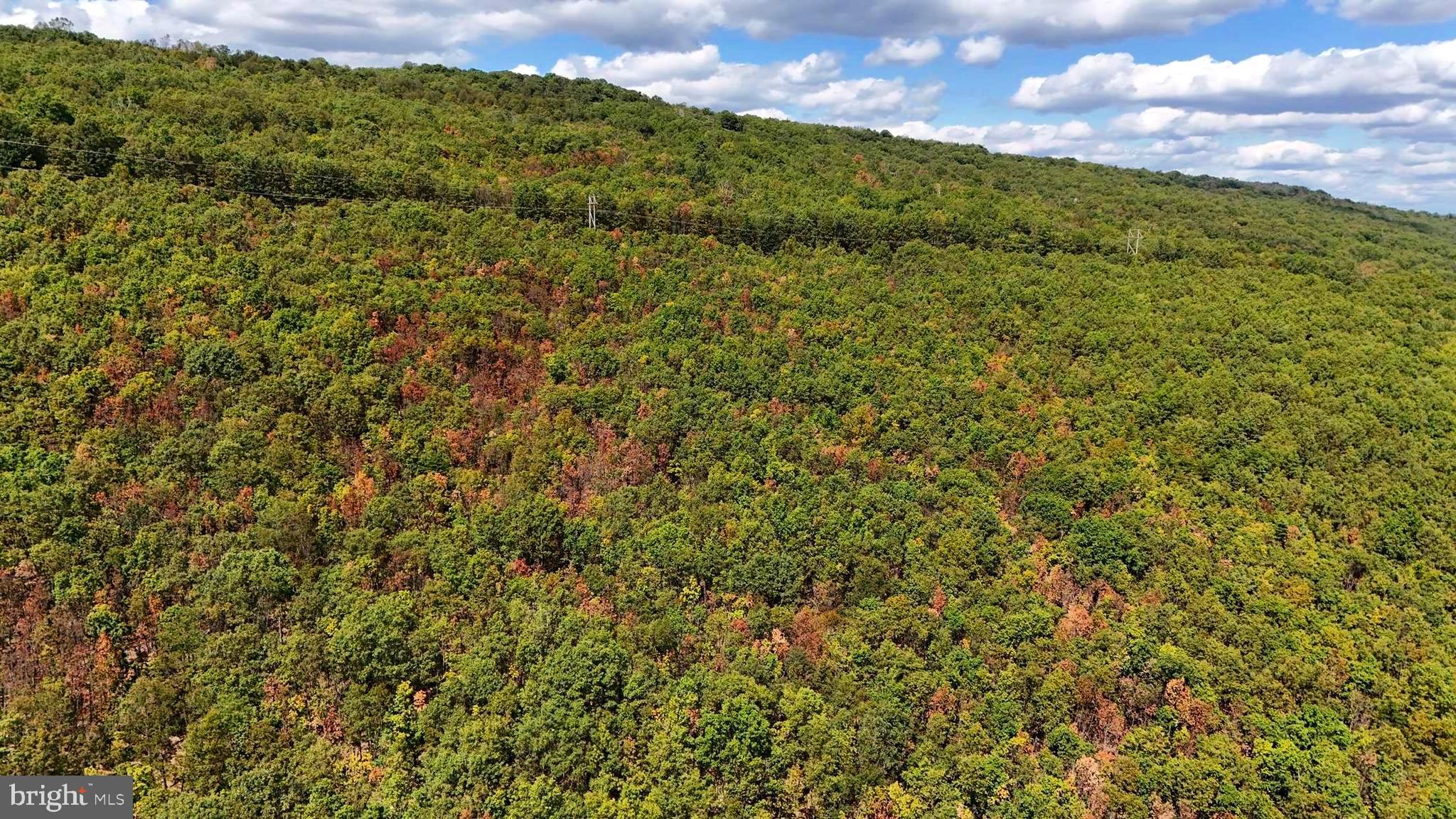 BOWLING GREEN - Residential