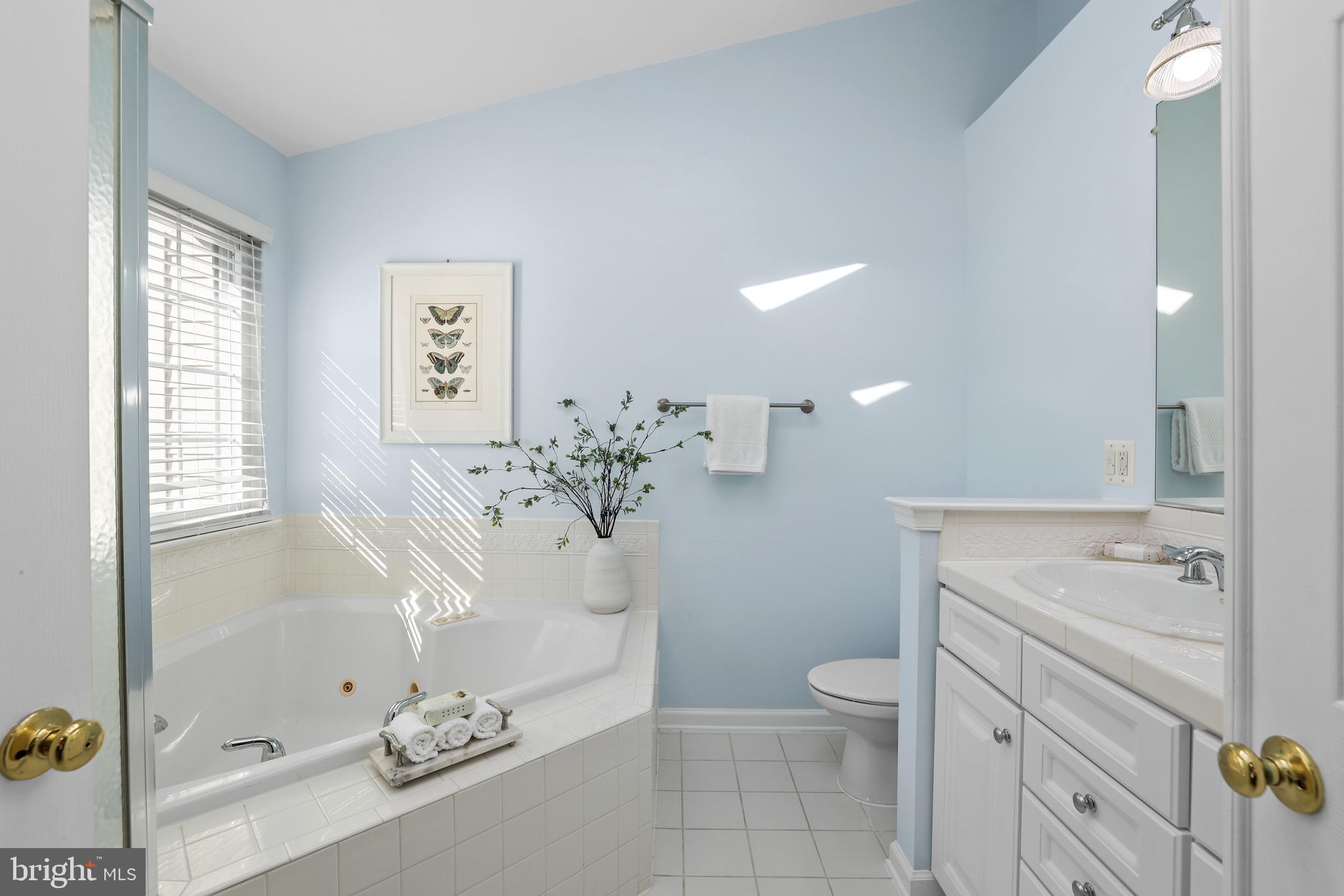 MOUNT VERNON MEADOWS - Residential