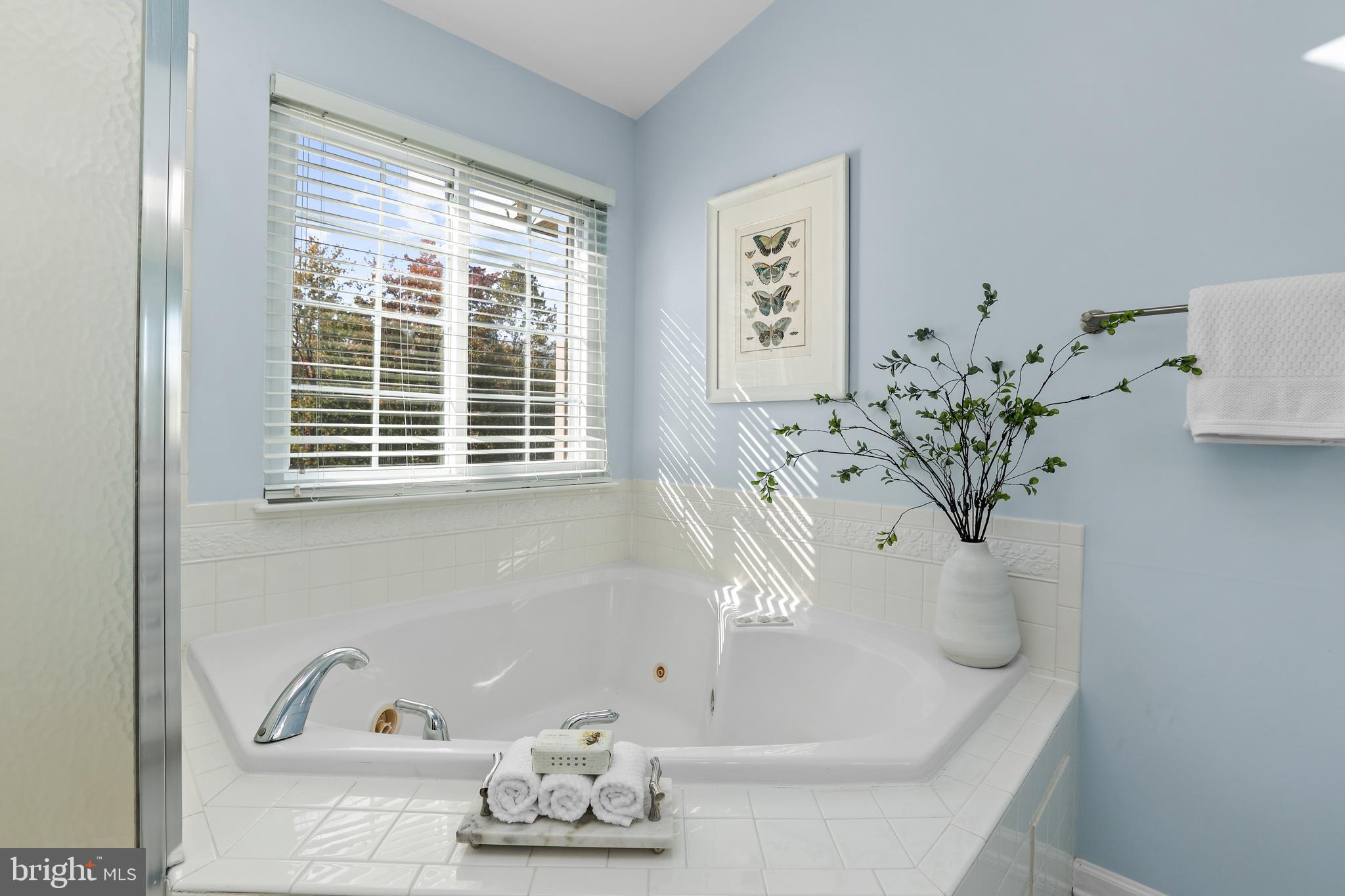 MOUNT VERNON MEADOWS - Residential