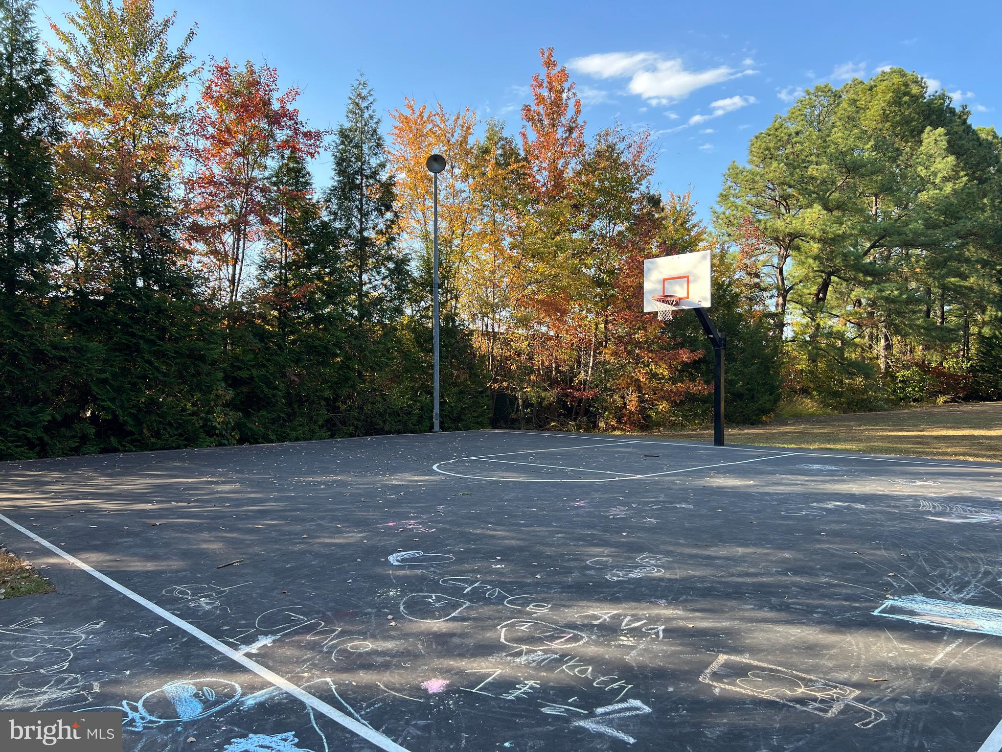 MOUNT VERNON MEADOWS - Residential