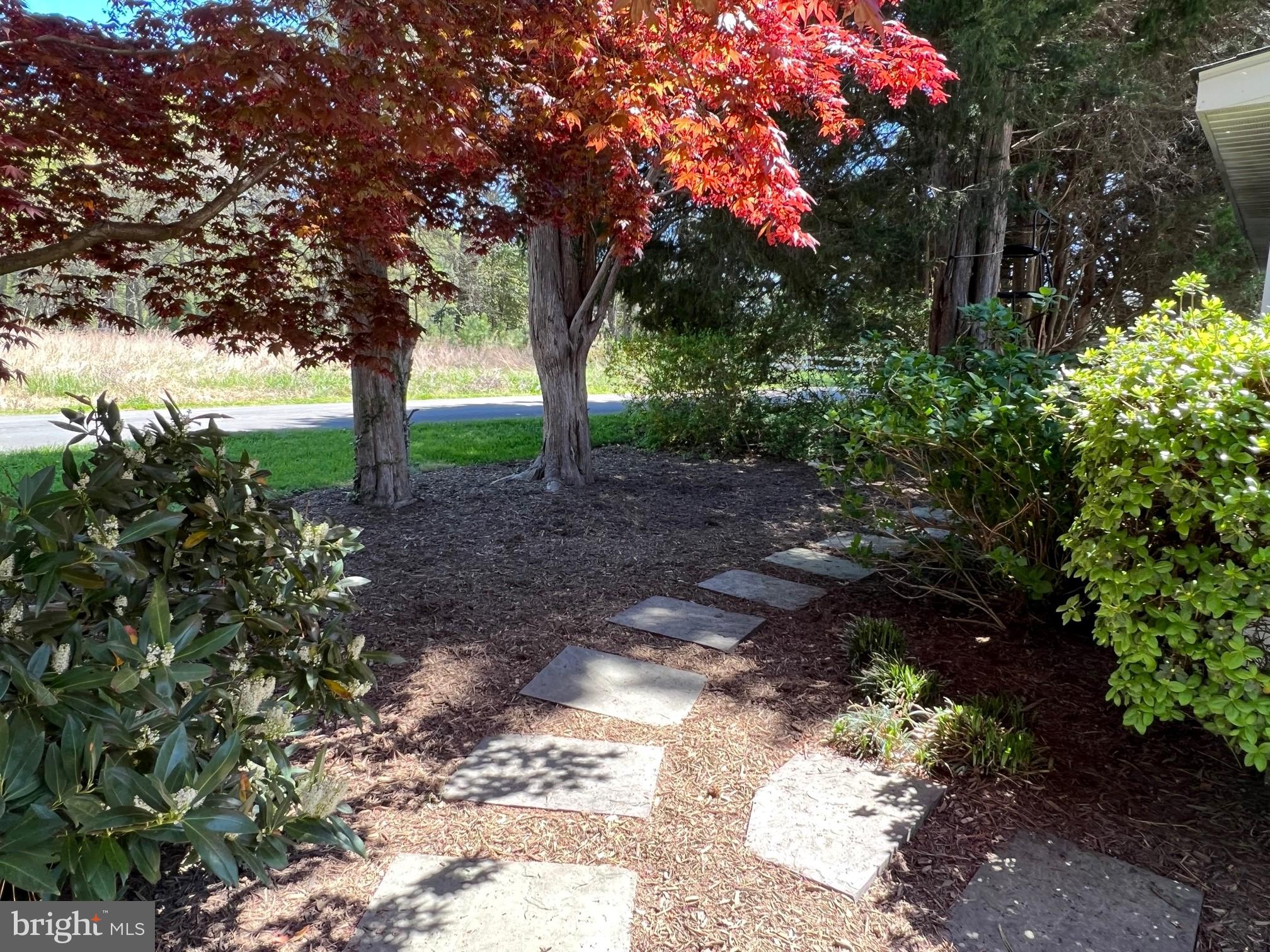 TALL TIMBERS - Residential