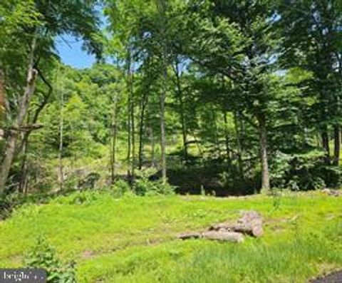 Vacant Land For Sale - Tiger Valley Road<br/> HYNDMAN, PA 15545