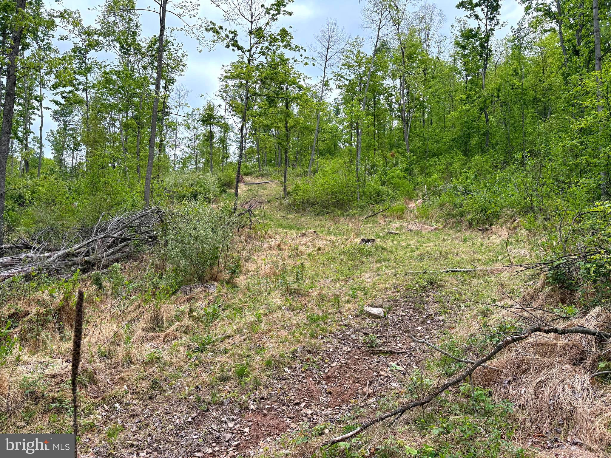 TIGER VALLEY ROAD