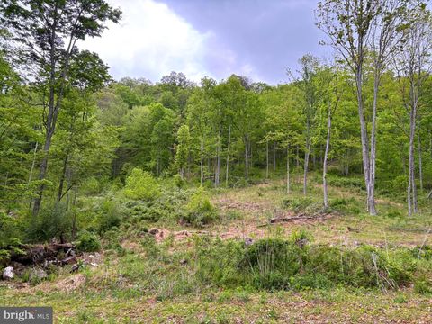 Vacant Land For Sale - Tiger Valley Road<br/> HYNDMAN, PA 15545
