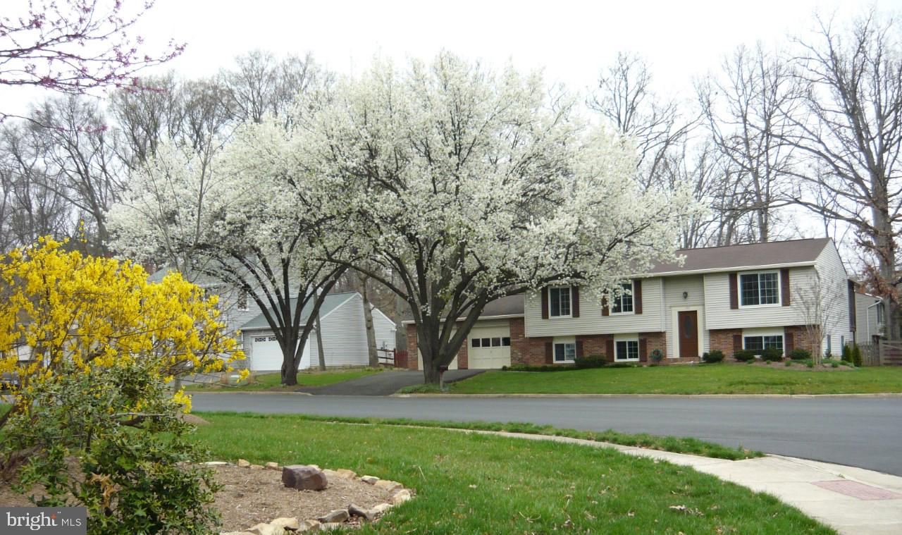 FOREST RIDGE - Residential