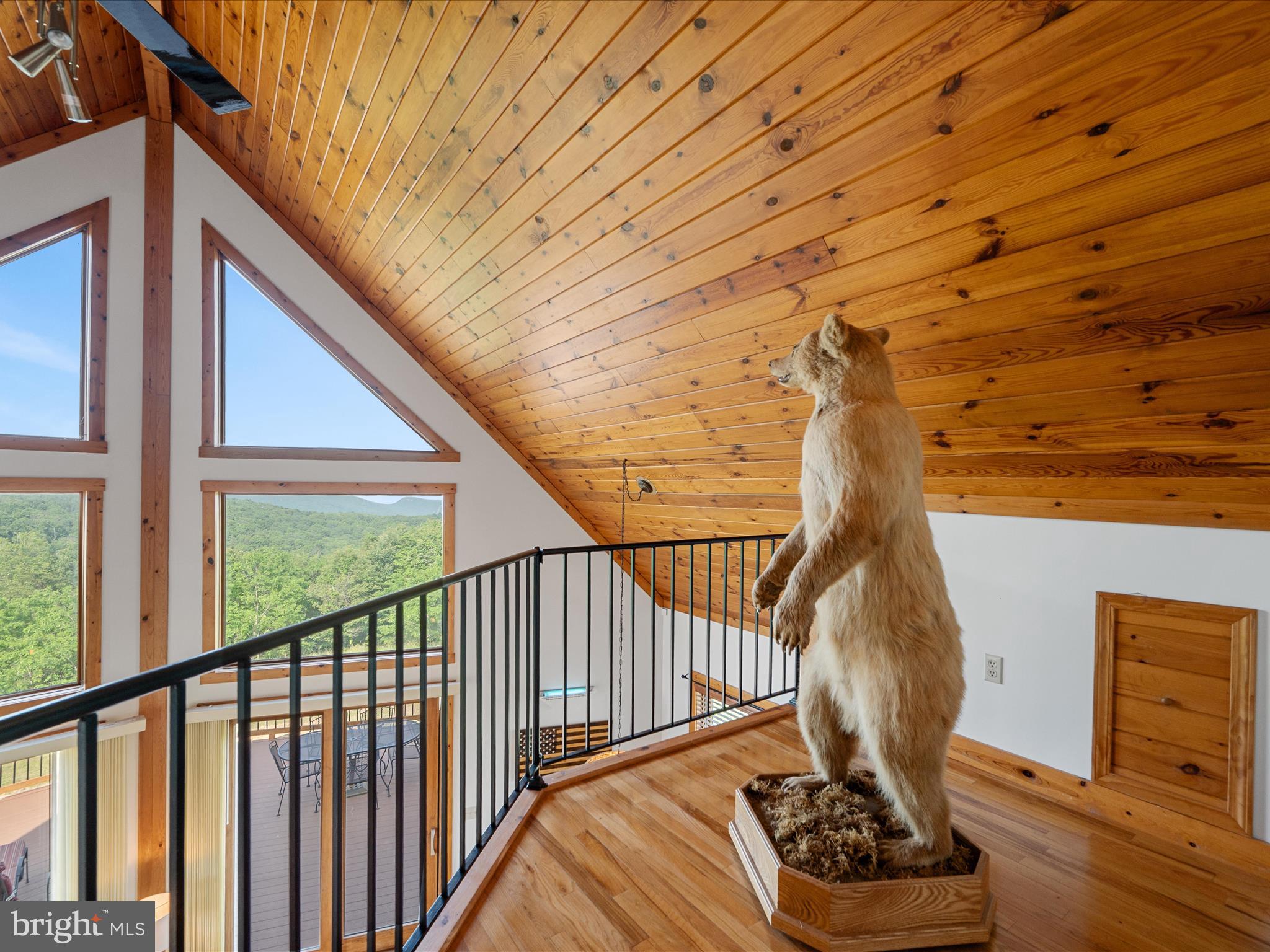 MOUNTAIN MEADOWS - Residential