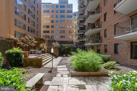 1718 P STREET NW L18 WASHINGTON DC 20036