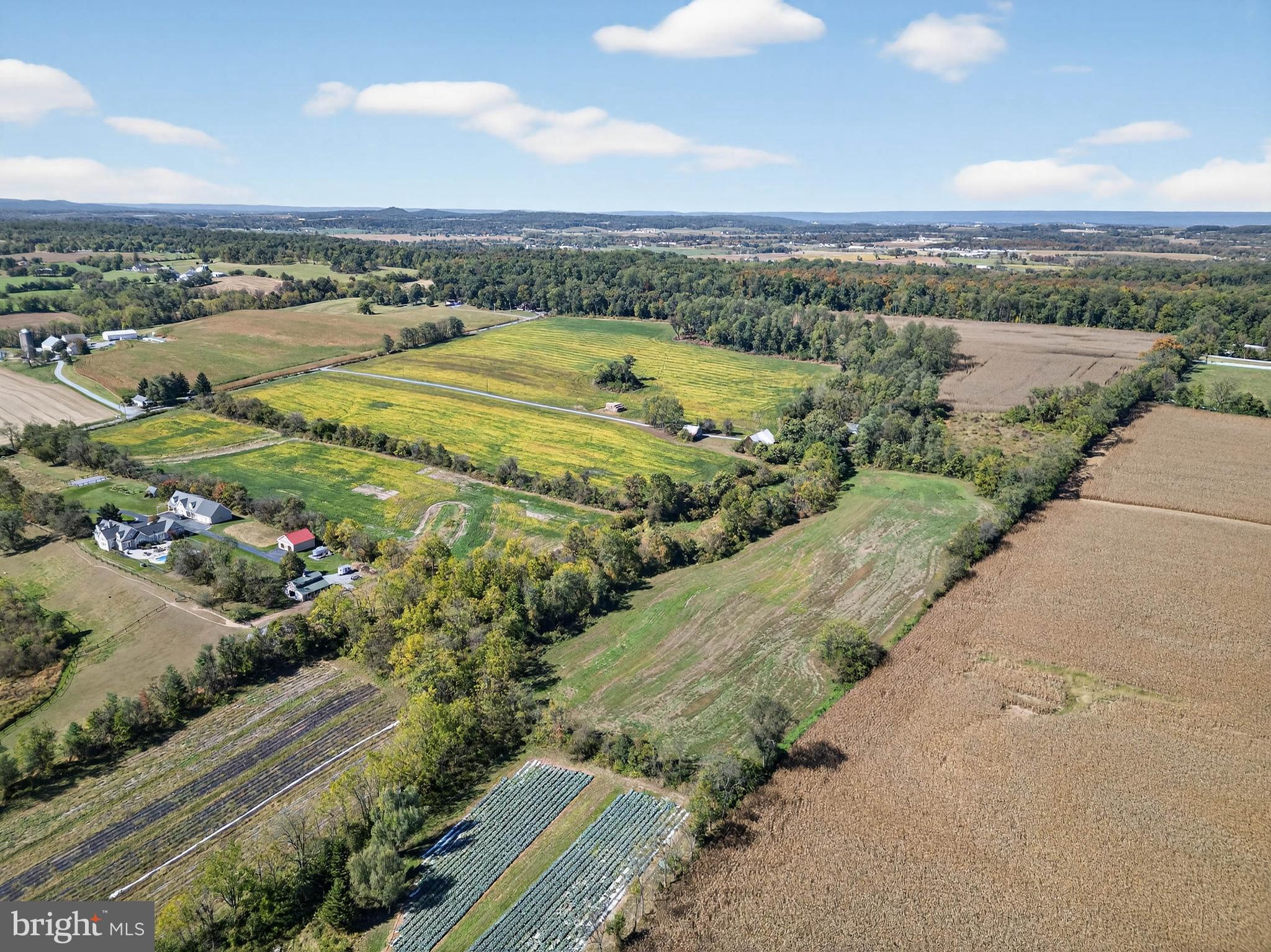 NONE AVAILABLE - Farm