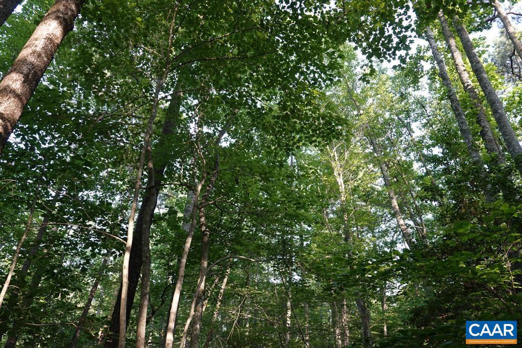 NONE AVAILABLE - Land