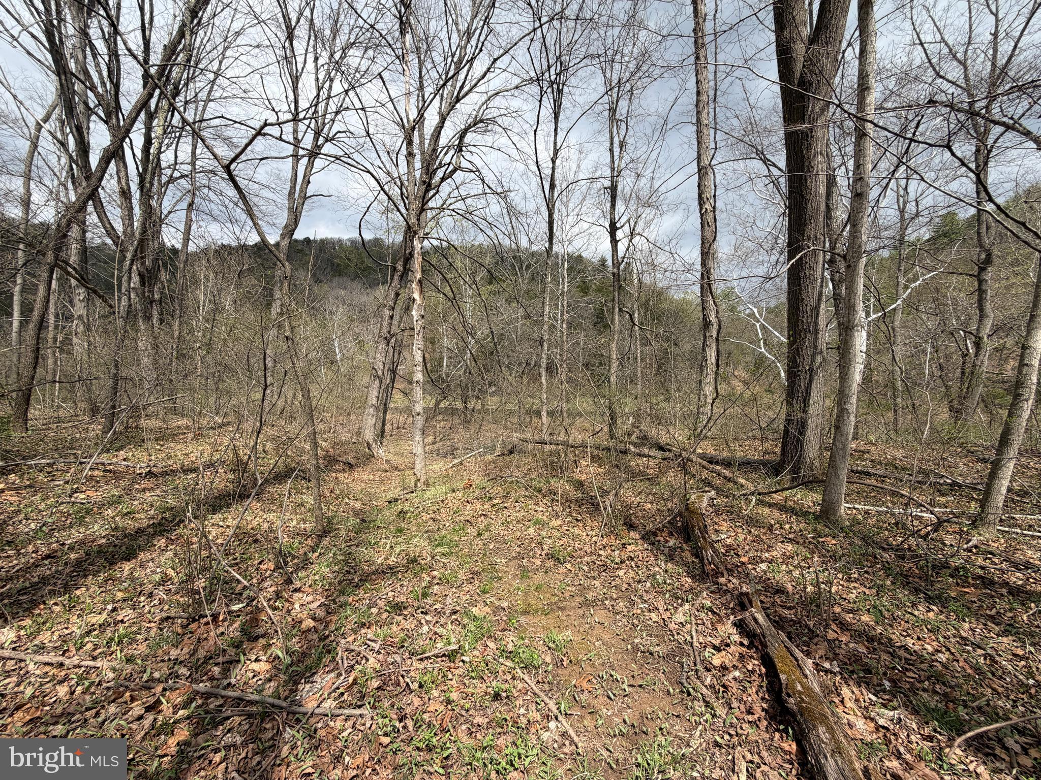 CACAPON HILLS - Land