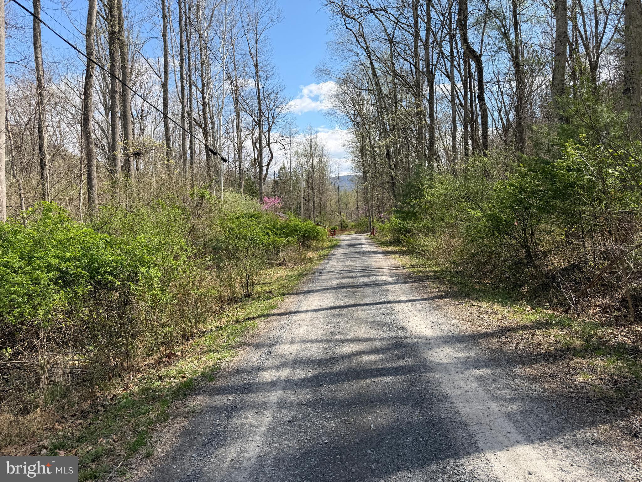 CACAPON HILLS - Land