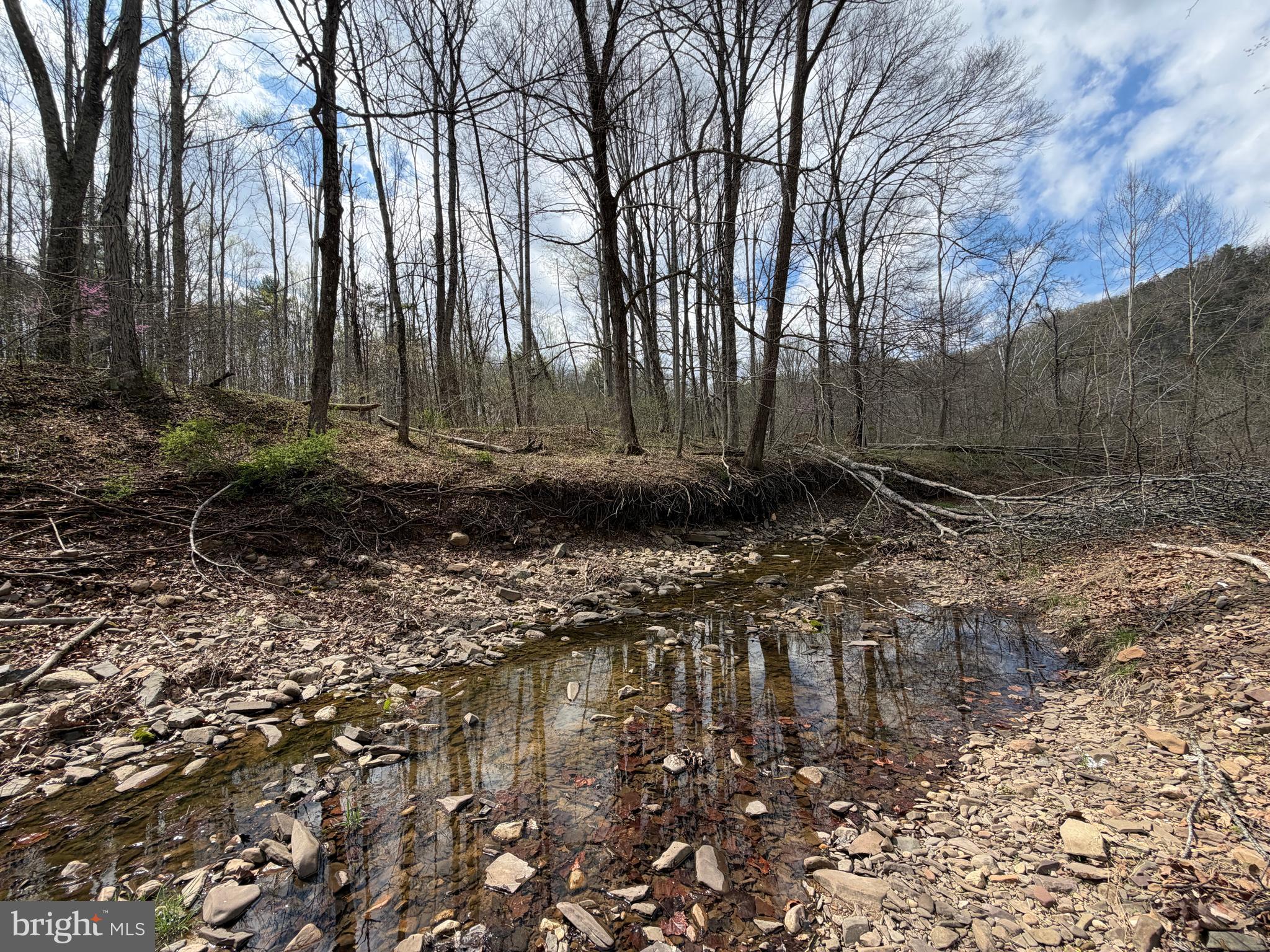 CACAPON HILLS - Land