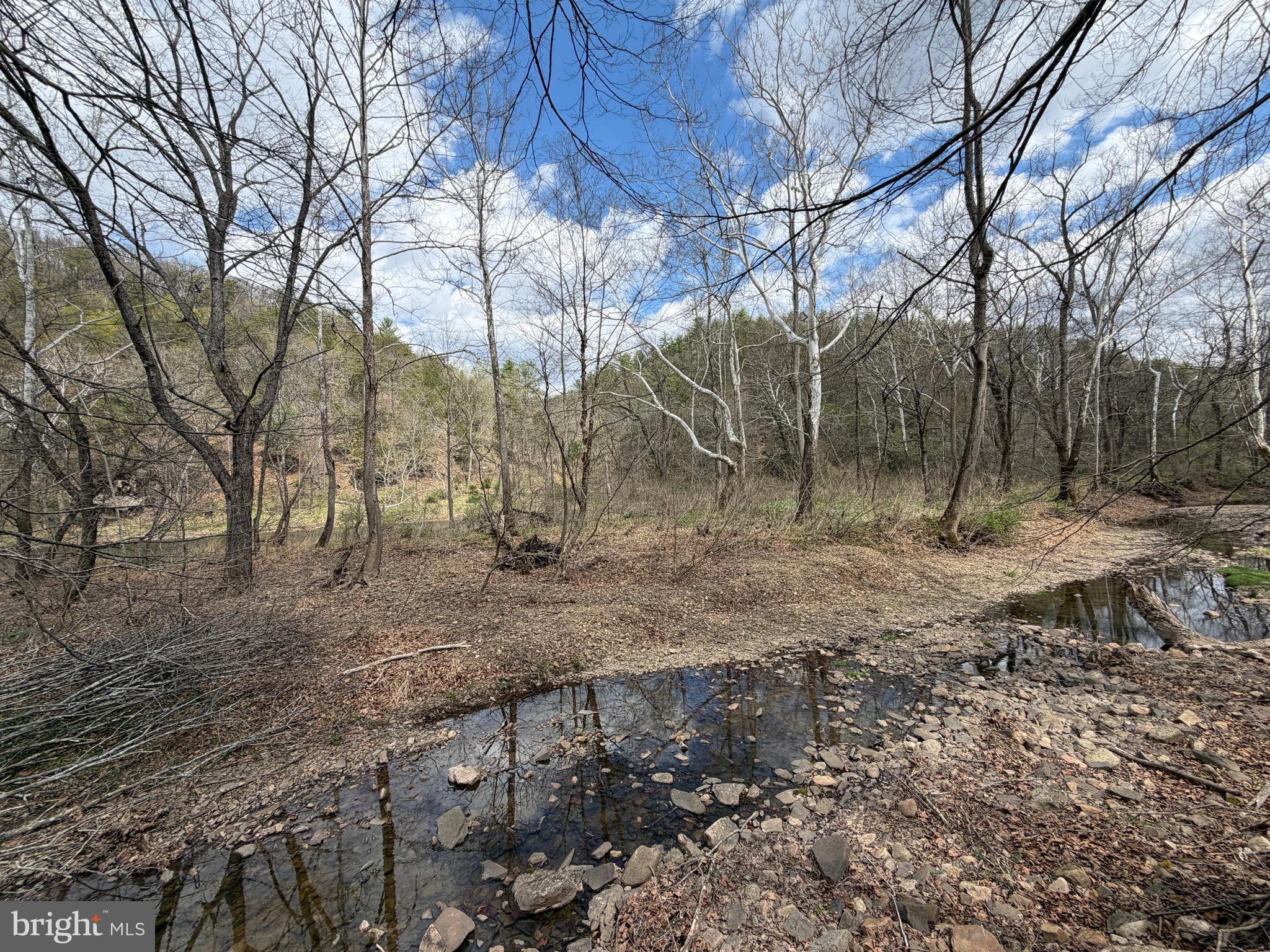 CACAPON HILLS - Land