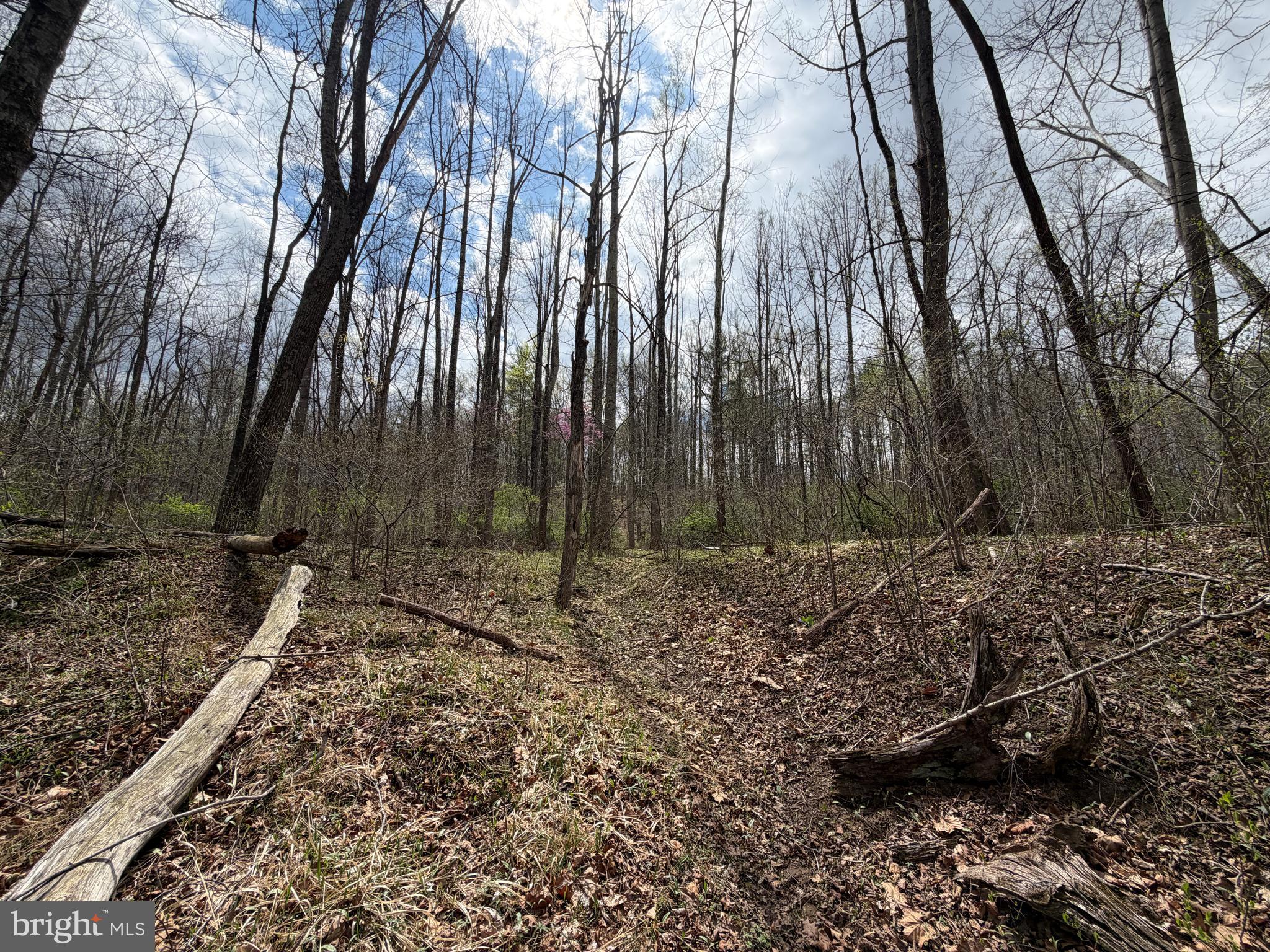 CACAPON HILLS - Land