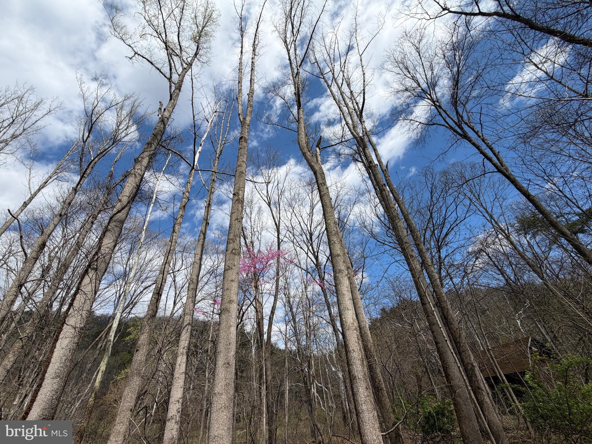 CACAPON HILLS - Land