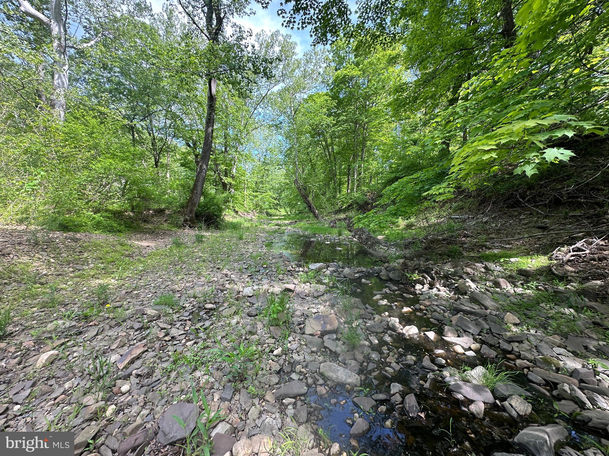 CACAPON HILLS - Land