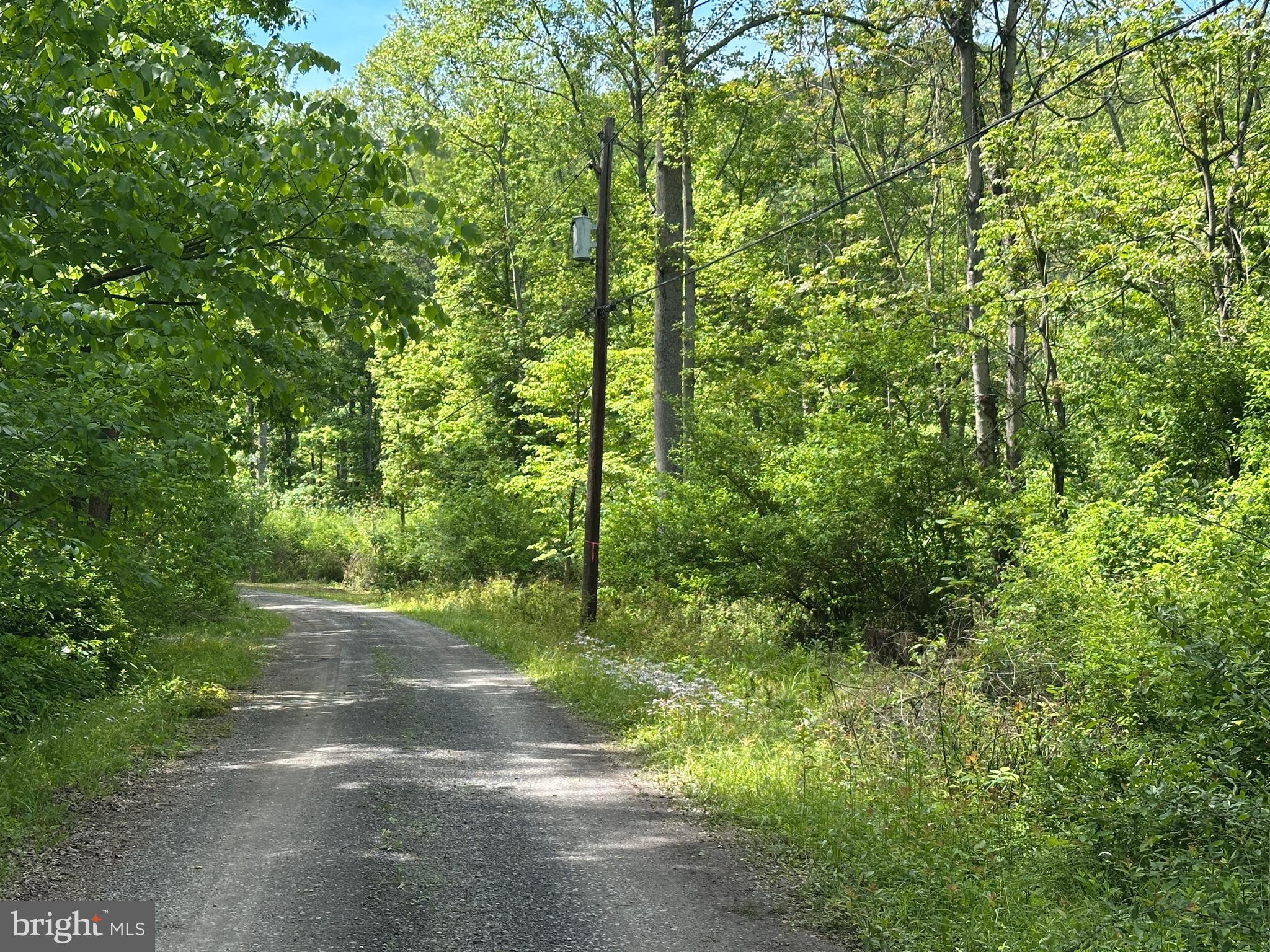 CACAPON HILLS - Land
