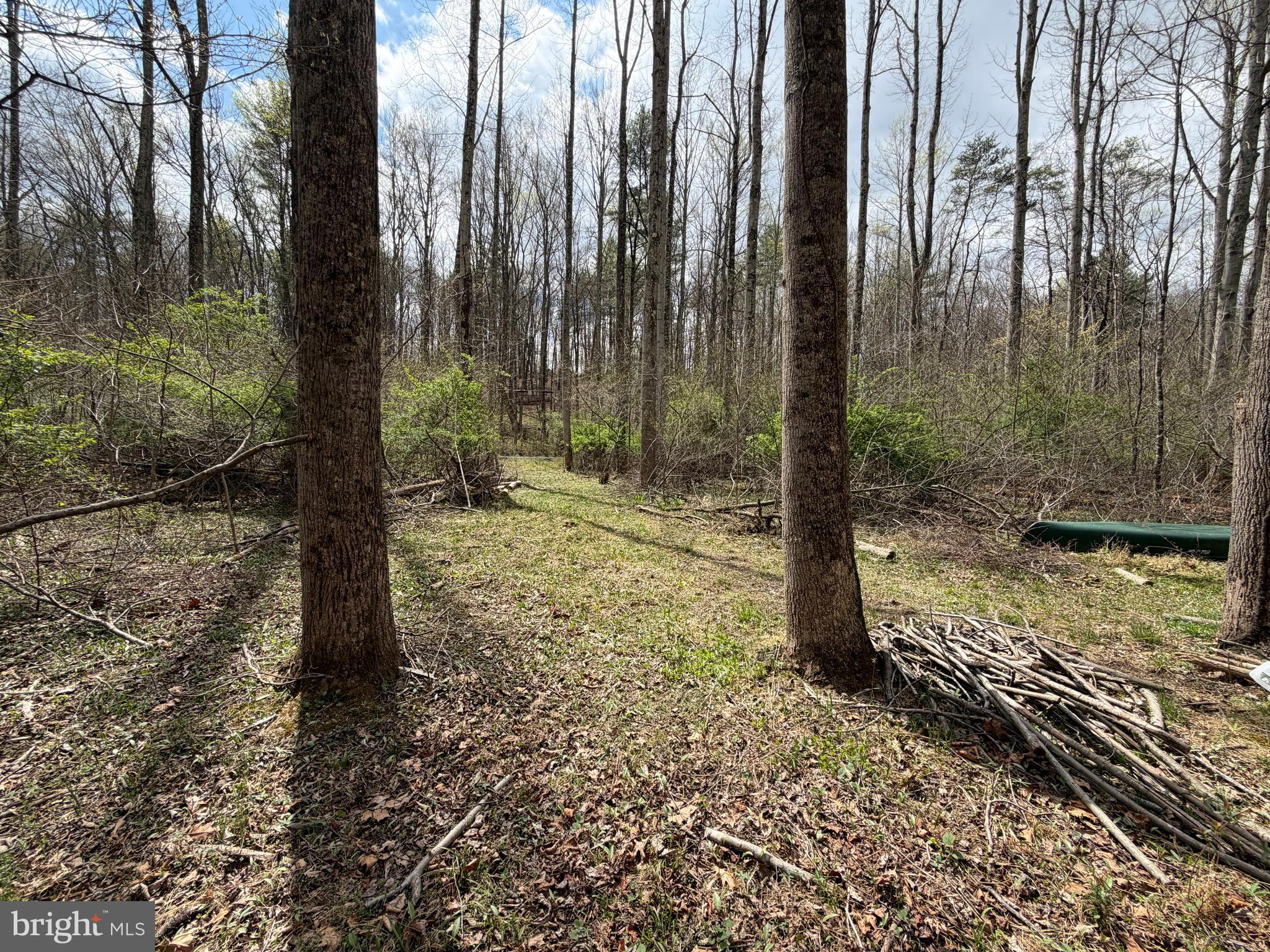 CACAPON HILLS - Land