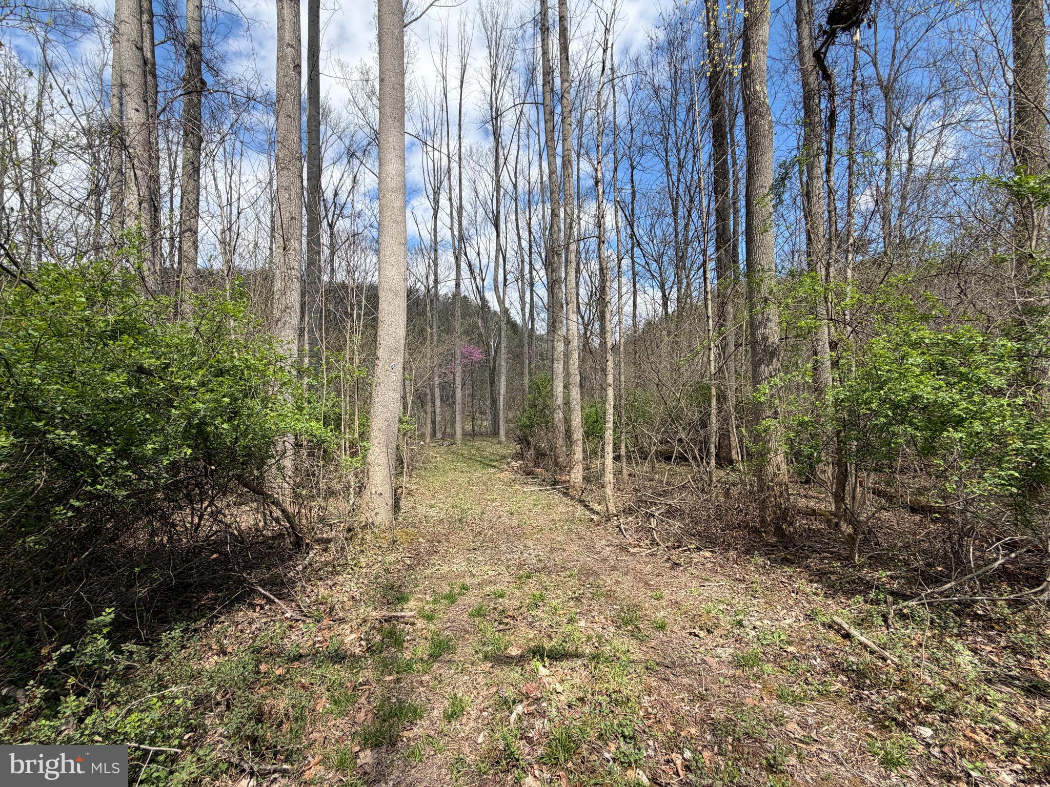 CACAPON HILLS - Land