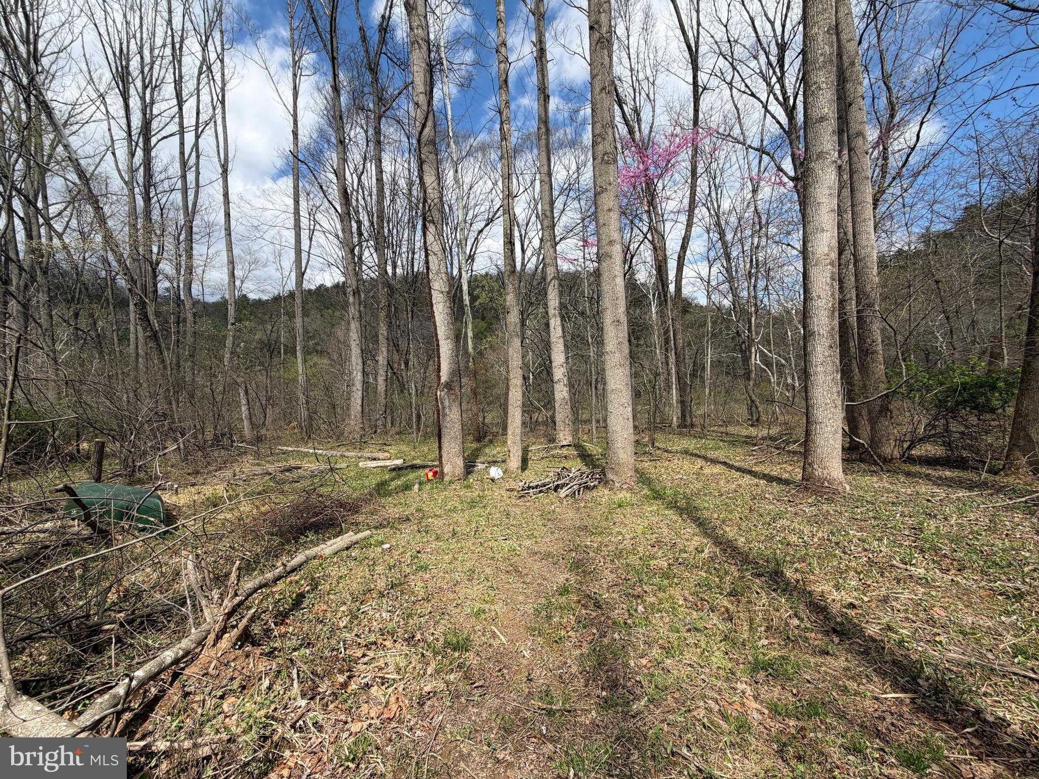 CACAPON HILLS - Land
