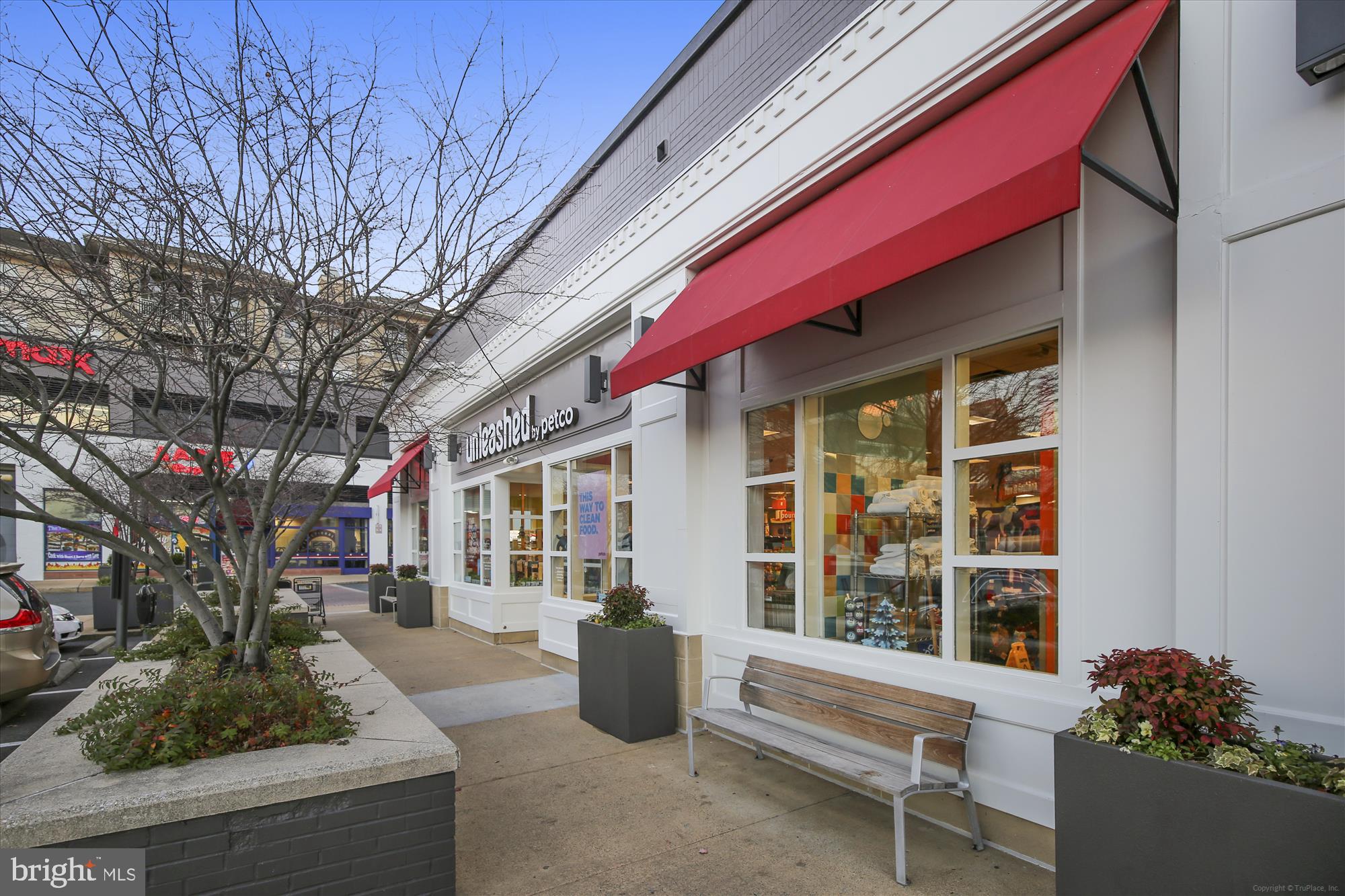 THE REPRESENTATIVE - Residential Lease