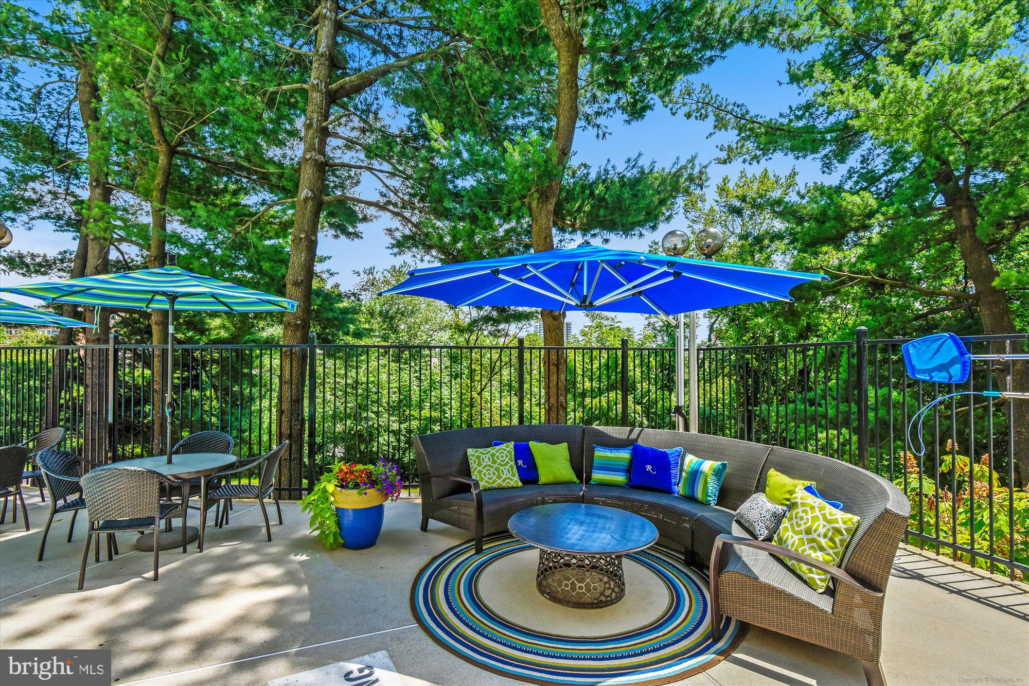 THE REPRESENTATIVE - Residential Lease