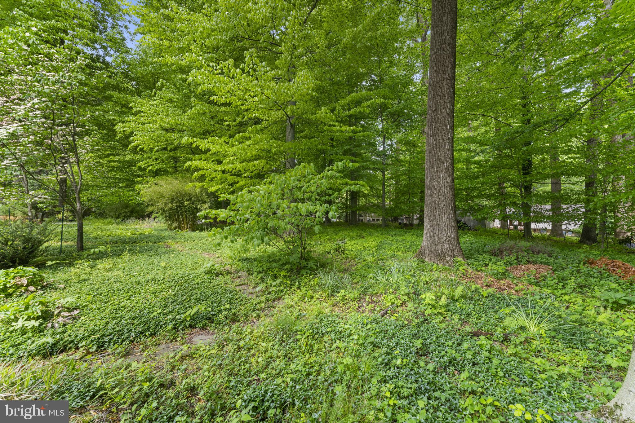 LONGFELLOW - Residential