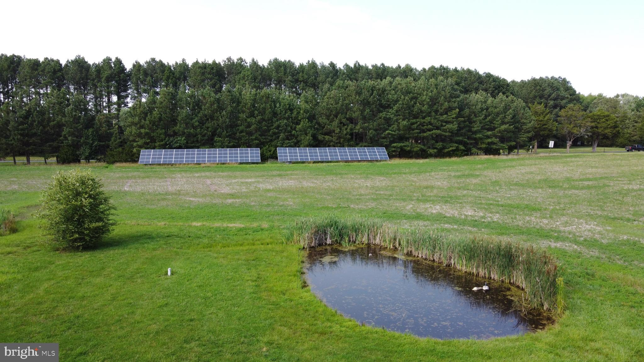 TUNIS MILLS - Residential