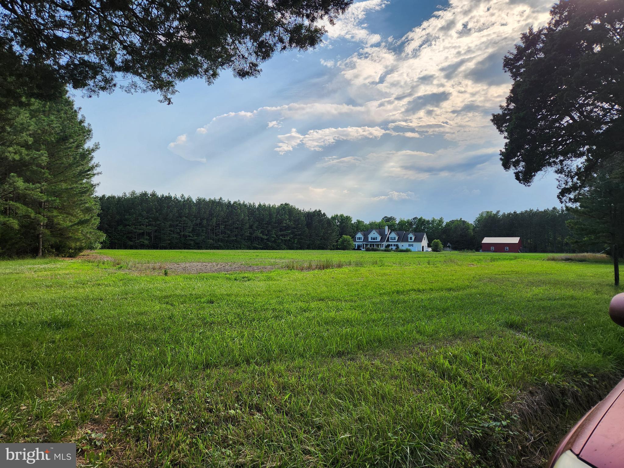 TUNIS MILLS - Residential