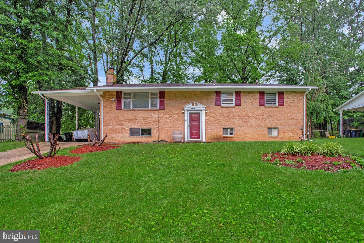 9803 LUKE COURT