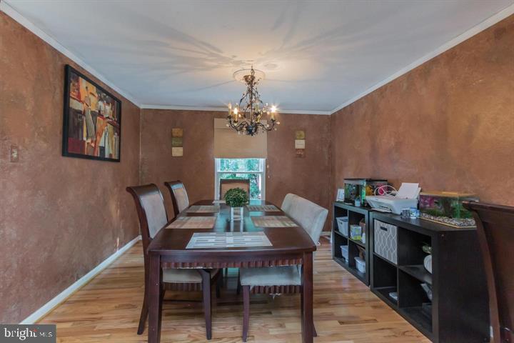 SHANNON SQUARE - Residential