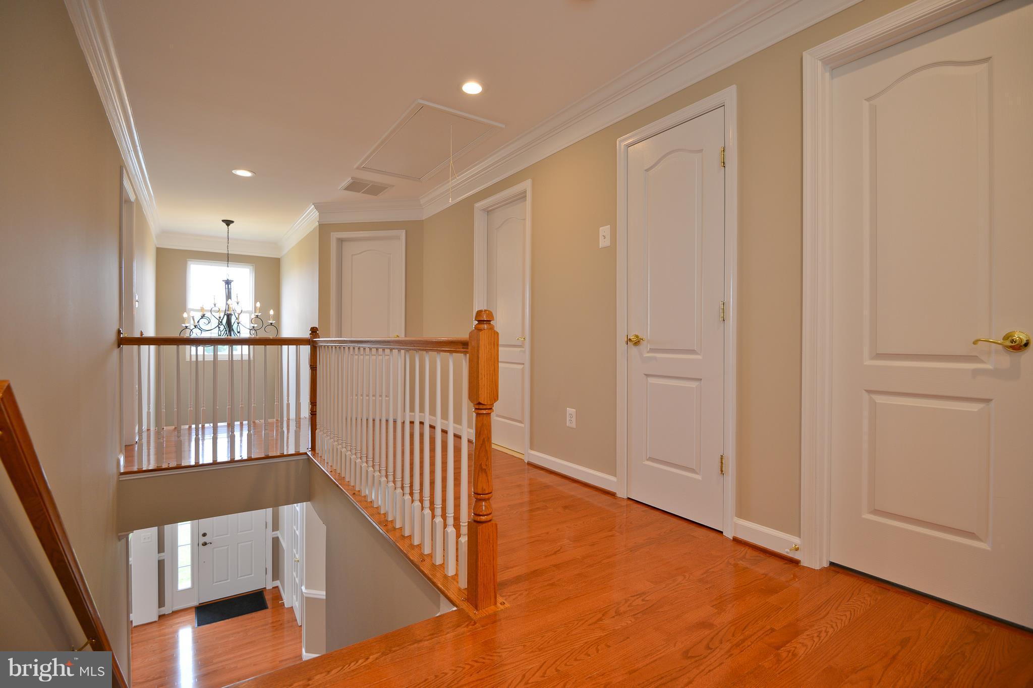 AVALON - Residential