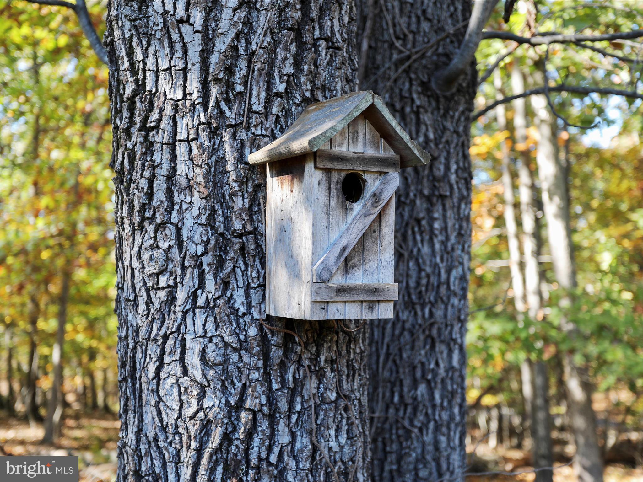 ASHTON FOREST - Residential