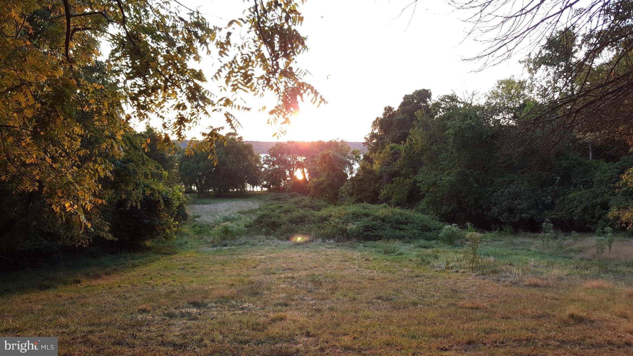 TREASURE COVE - Land