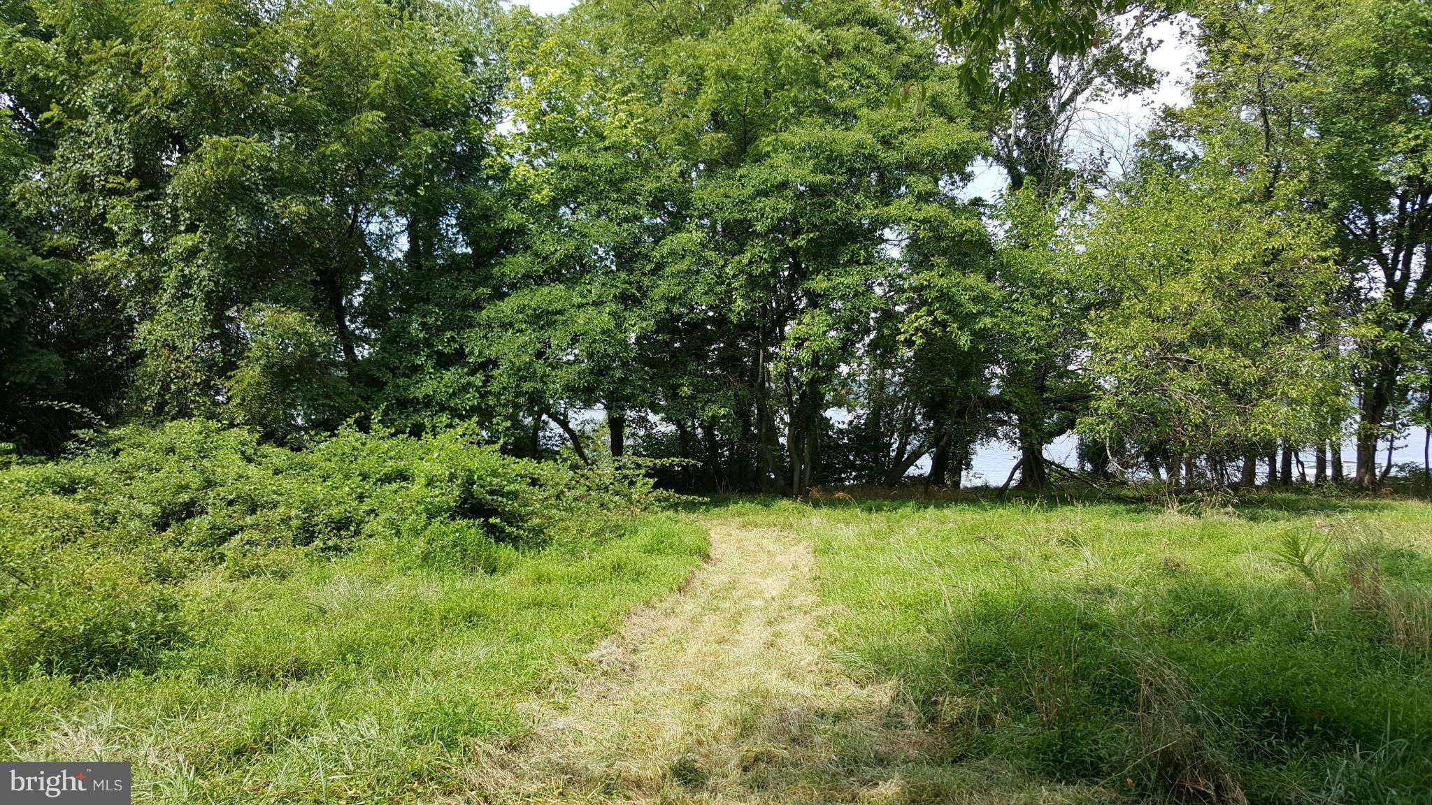 TREASURE COVE - Land