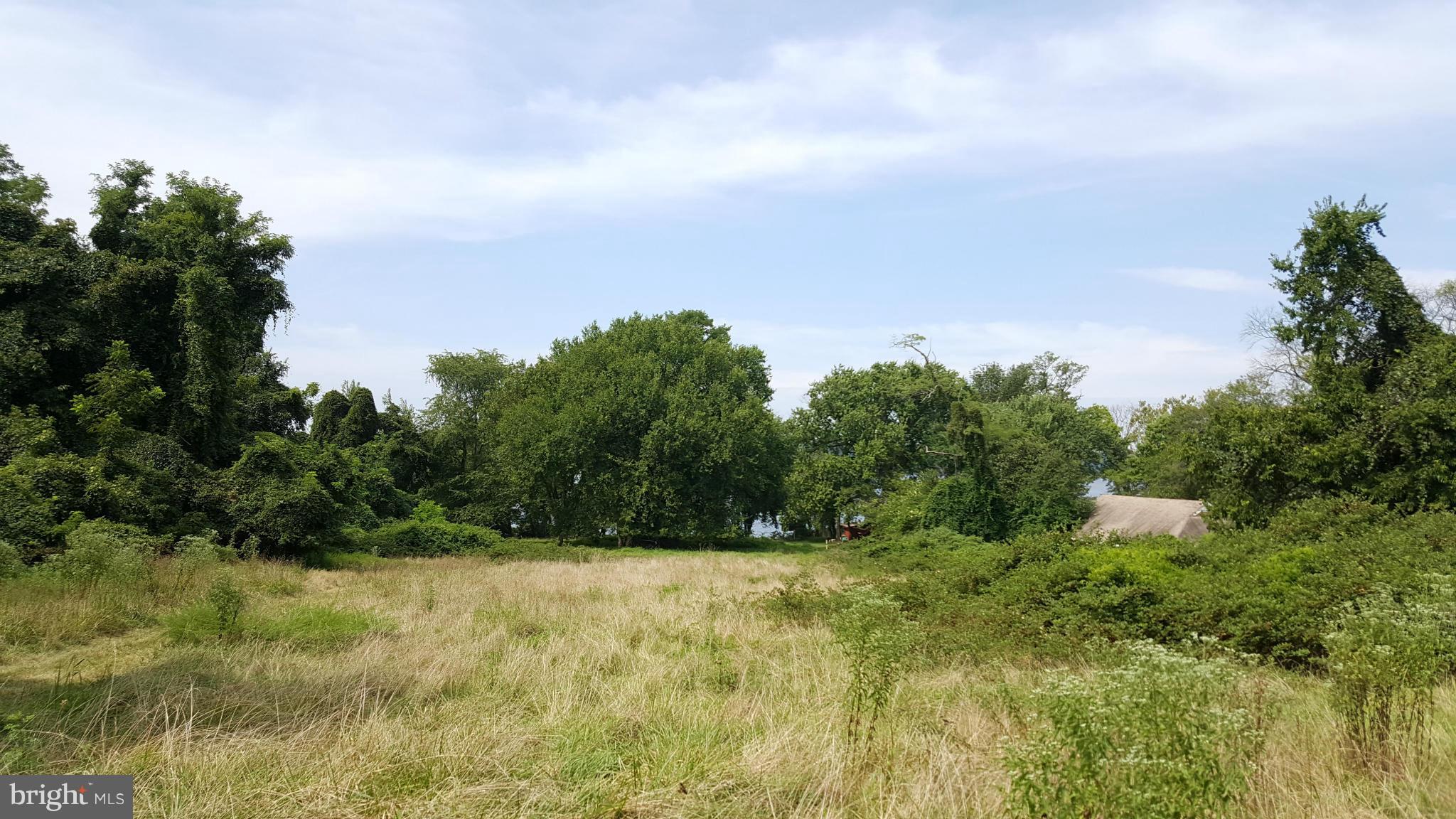 TREASURE COVE - Land