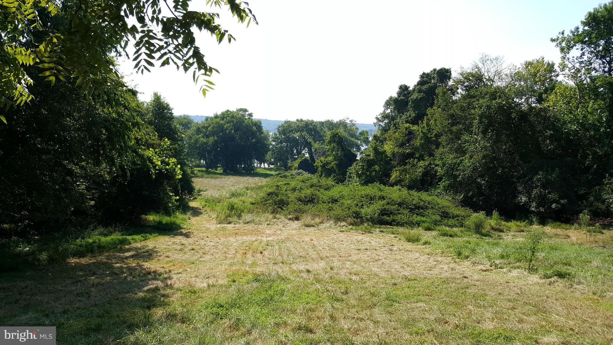 TREASURE COVE - Land