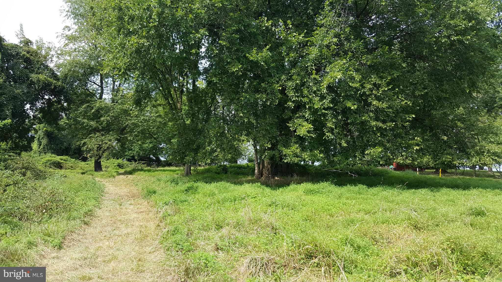 TREASURE COVE - Land