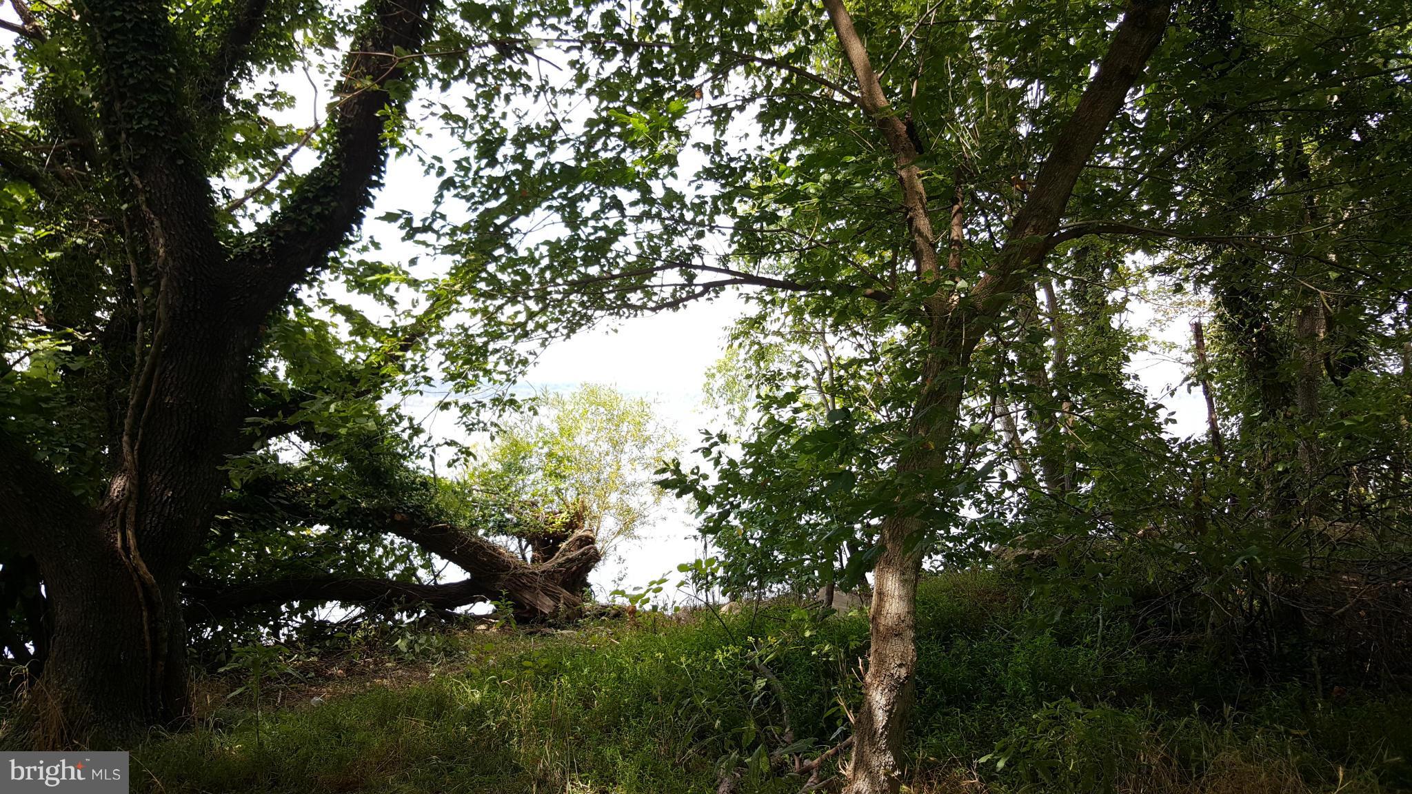 TREASURE COVE - Land