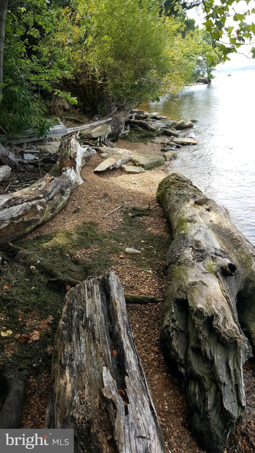 TREASURE COVE - Land