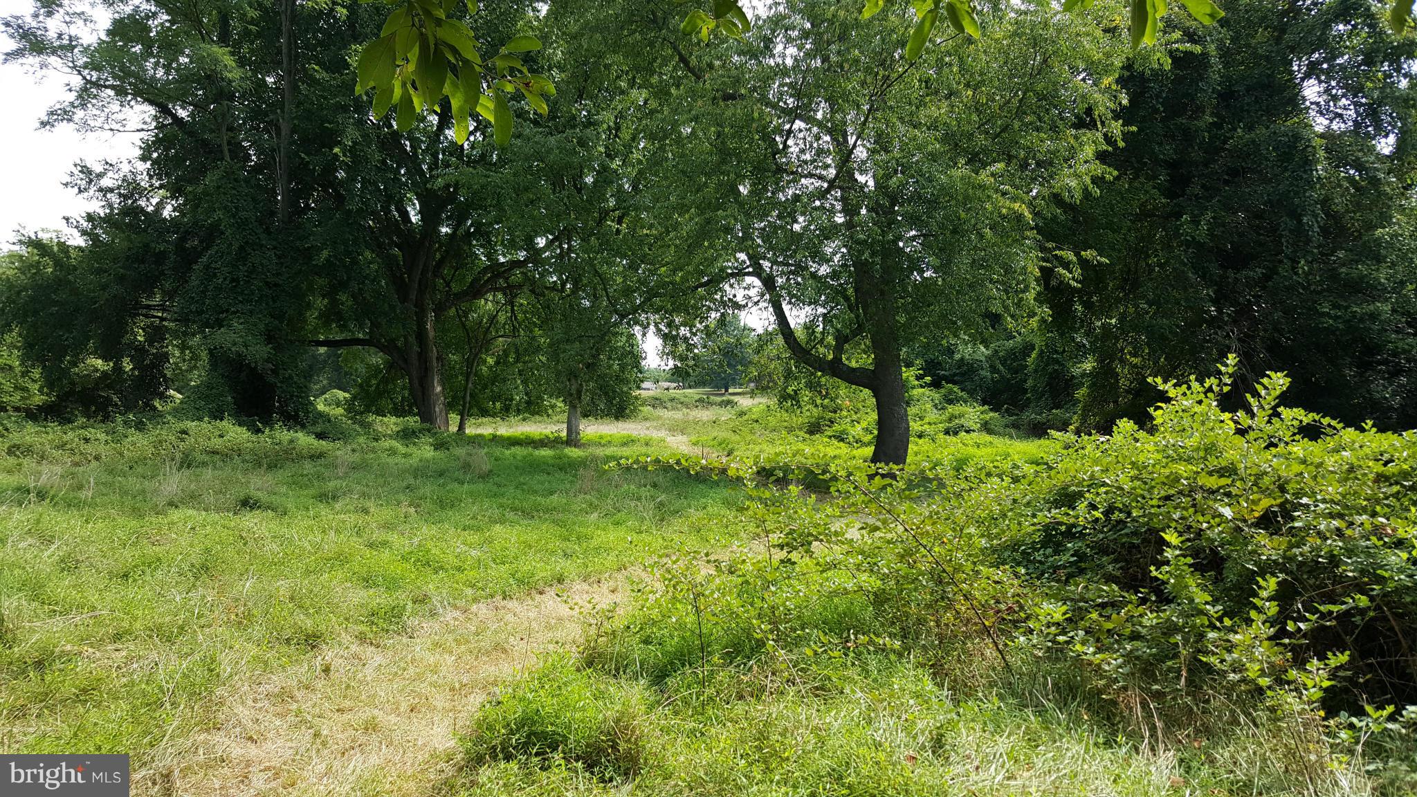 TREASURE COVE - Land