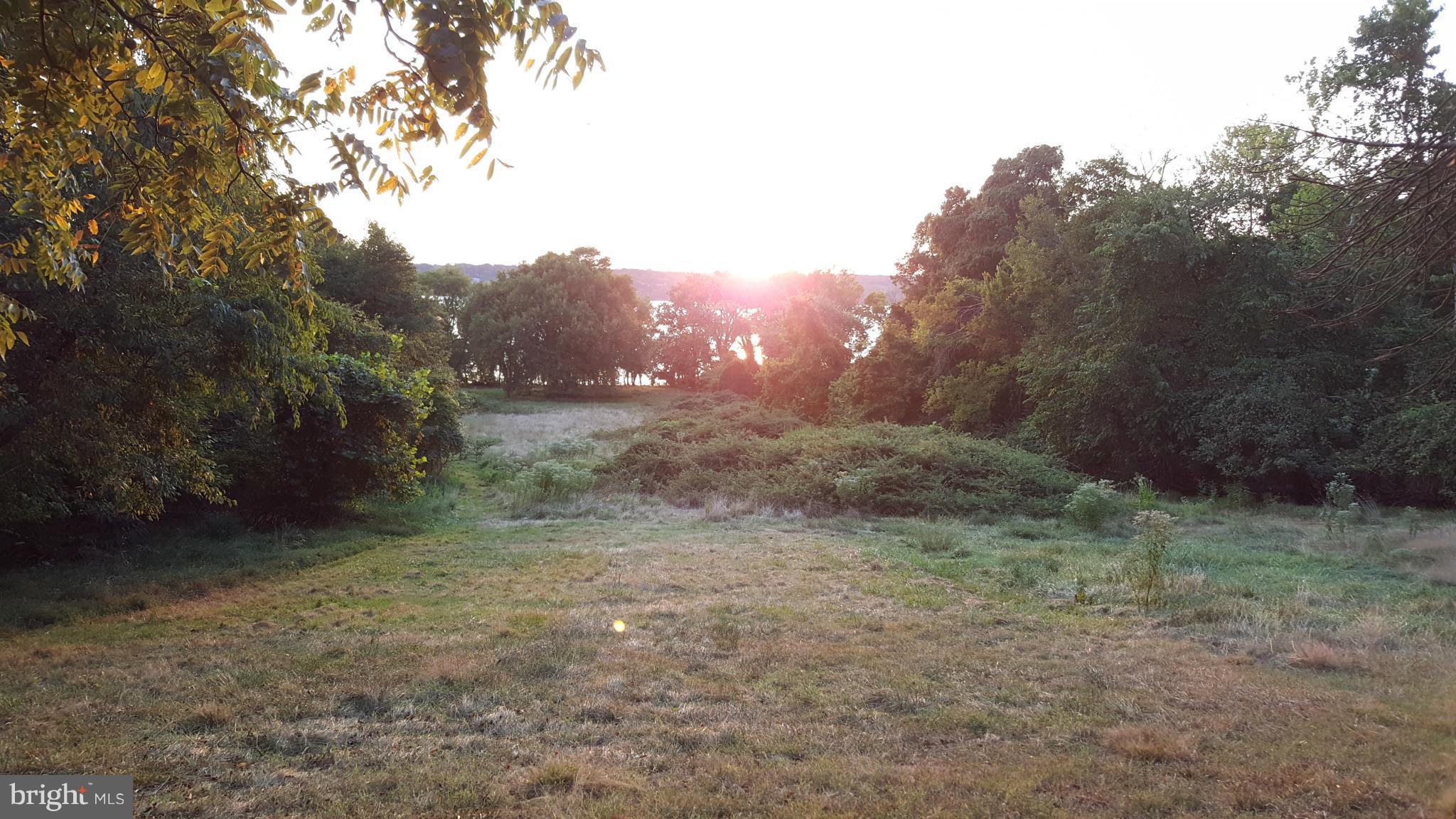 TREASURE COVE - Land