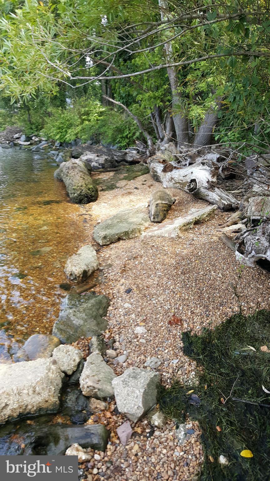 TREASURE COVE - Land