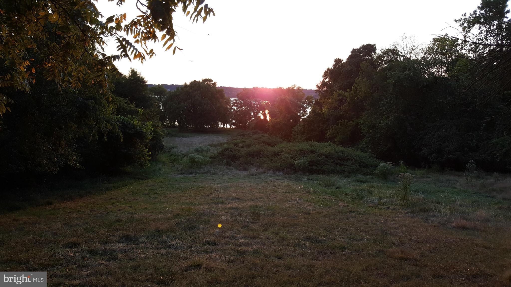 TREASURE COVE - Land